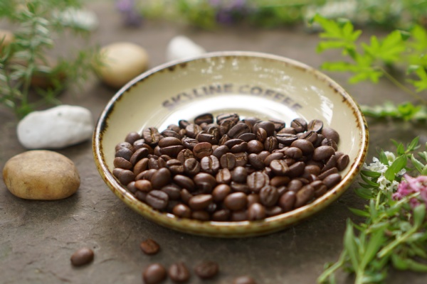 Những giống cà phê phổ biến tại Việt Nam